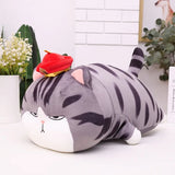 coussin-peluche-chat